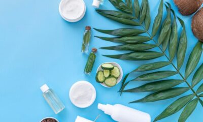 The Revolutionary Role of Palm Tree Products in Skincare