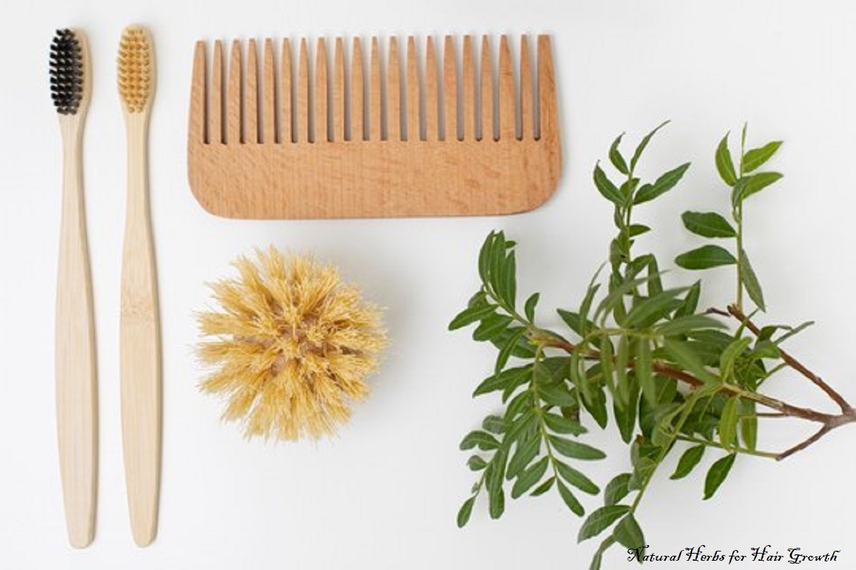 Natural Herbs for Hair Growth